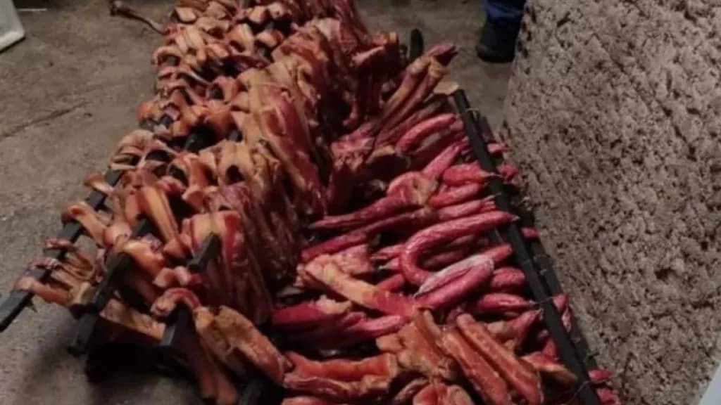 Polícia apreende 300 kg de carne e desmantela abatedouro clandestino em SC