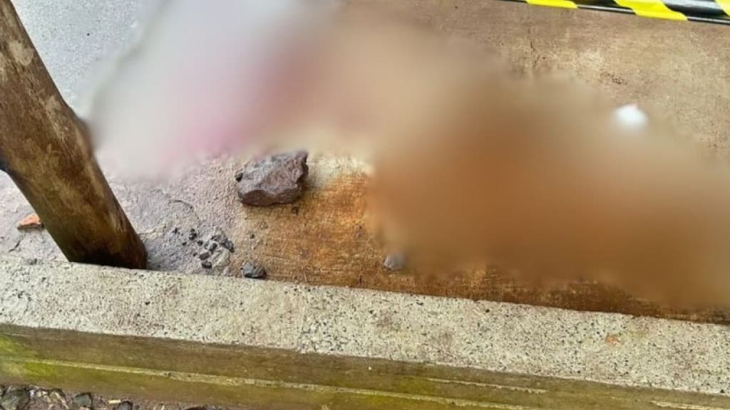 Casal acusado de matar homem com facadas e pedrada na cabeça em bar é preso
