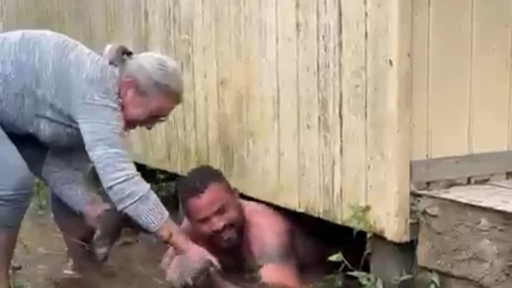 VÍDEO : Herói, salva-vidas resgata filhotes presos em casa alagada em SC
