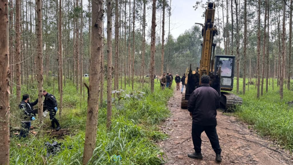 Denúncia de mau cheiro leva a descoberta de corpos enterrados em praia catarinense