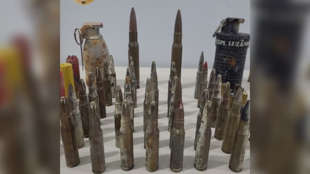 Arsenal de guerra encontrado em casa de acusado de furtos em SC
