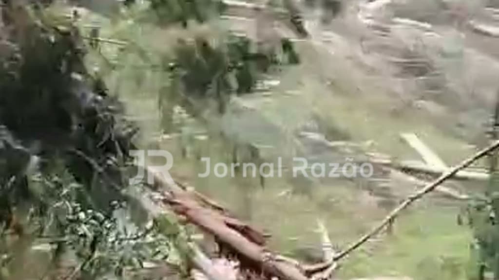 Tornado atingiu SC e arrancou árvores pela raiz nesta quinta-feira