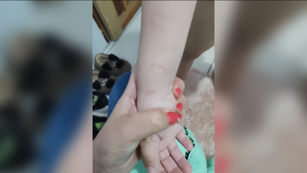 VÍDEO: Professora é afastada após arrastar criança autista em escola de SC