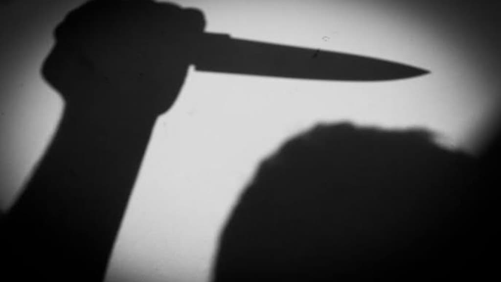 Mulher com passagens policiais é encontrada esfaqueada em casa