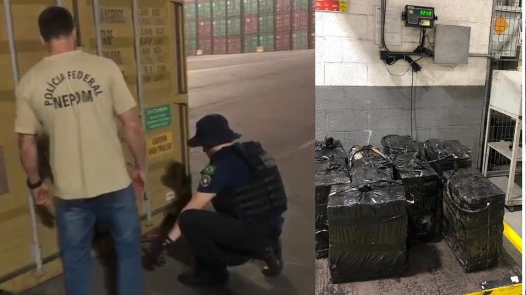 PF encontra carga milionária de cocaína no Porto de Navegantes, em SC
