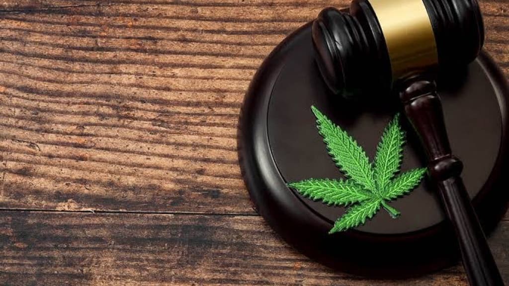 URGENTE: STF pode descriminalizar o uso de drogas no Brasil