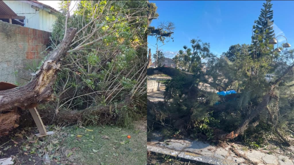 Ciclone deixa rastro de destruição em Tijucas e milhares sem luz em SC