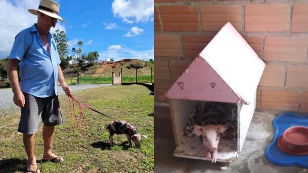 A belíssima história de amor entre idoso de SC e animal de estimação inusitado