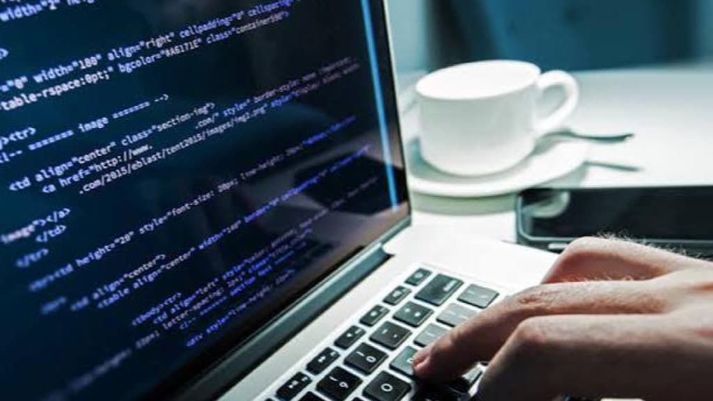 Tijucas oferece salários de até R$ 1.638 para estagiários em tecnologia