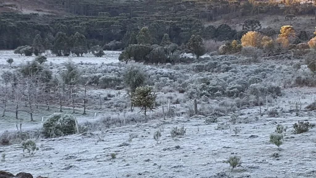 SC tem previsão de -4°C e geada no litoral: “o frio vem com tudo”
