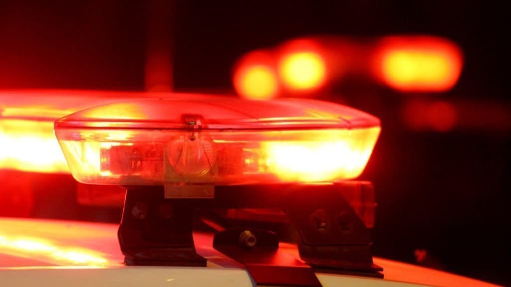 Homem é preso por estuprar duas crianças e uma cadela em SC