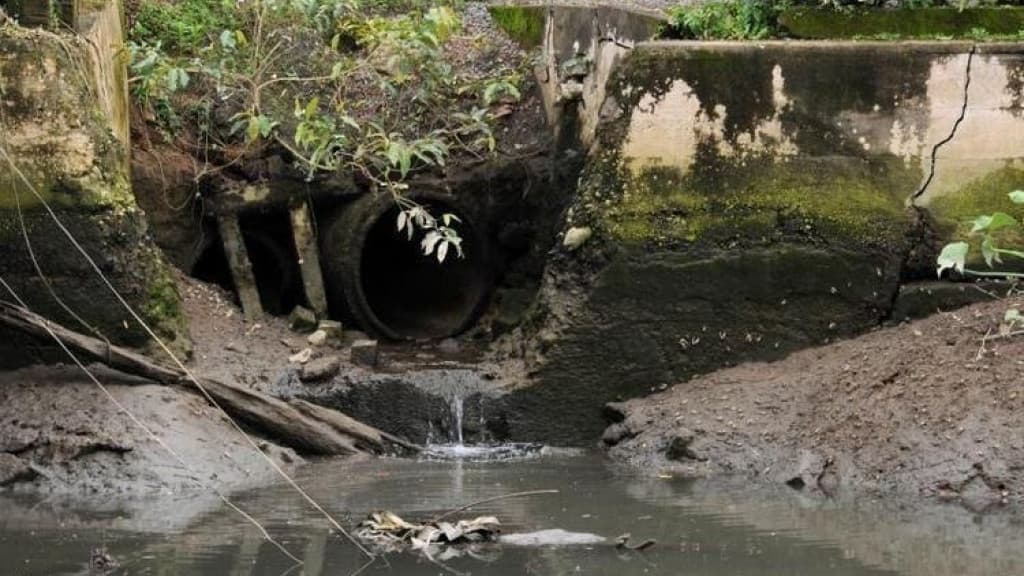 Estudo aponta que mais da metade das cidades de SC não têm serviço de esgoto