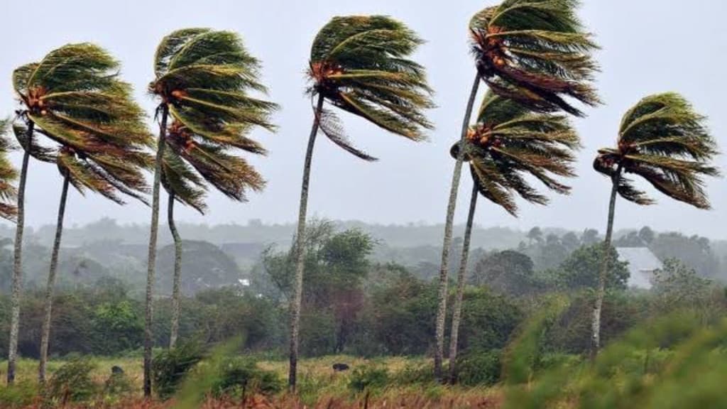 Alerta de vendaval em Santa Catarina