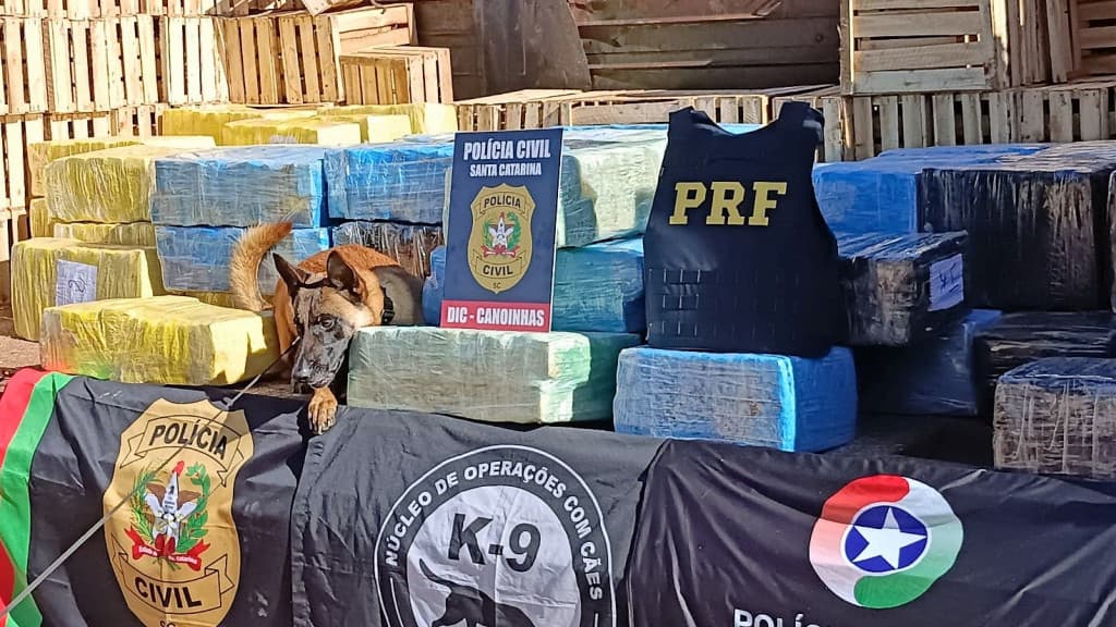 Motorista é preso transportando duas toneladas de maconha na BR-282, em SC