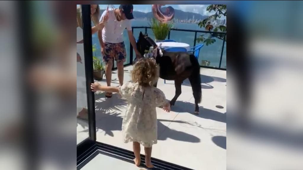 Menina de Itapema completa três anos e ganha presente inusitado: “cavala princesa”