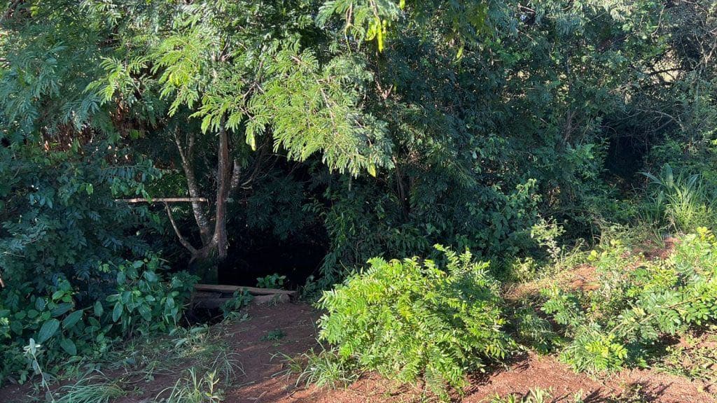 Morte de indígenas em Santa Catarina intriga autoridades policiais