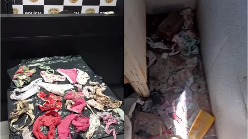 Ladrão de calcinhas infantis é suspeito de zoofilia, em SC