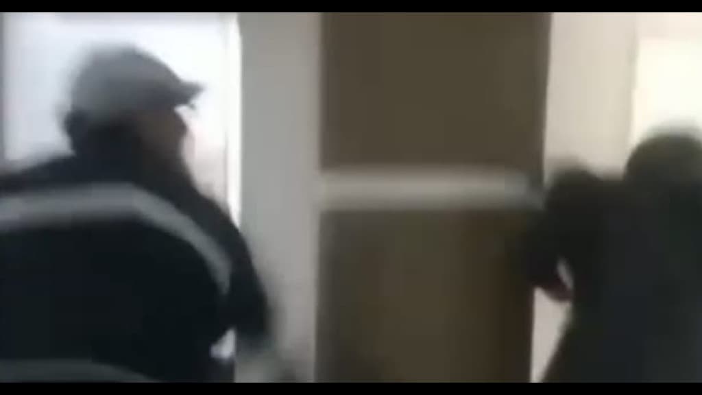 Surra de cinta surpreende vereadores e interrompe sessão de Câmara em SC