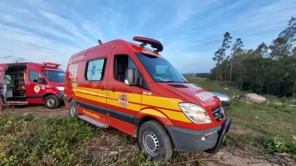 Trabalhadores são atingidos por tora de madeira e precisam de resgate