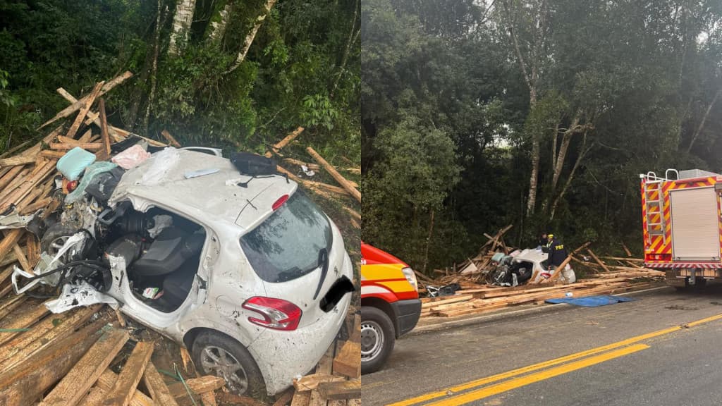 Acidente entre carro e caminhão mata motorista e cachorro na BR-282
