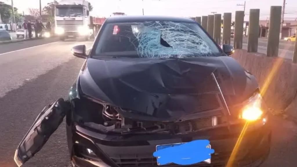 Mulher morre tentando atravessar rodovia catarinense