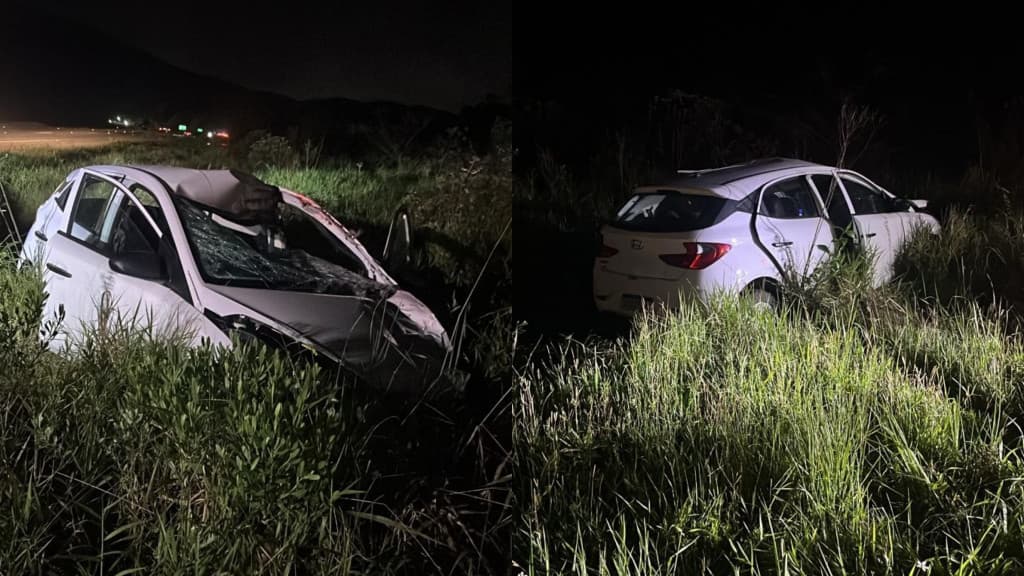 Colisão na BR-470 mata cavalo e filhote; passageiros escapam com ferimentos leves