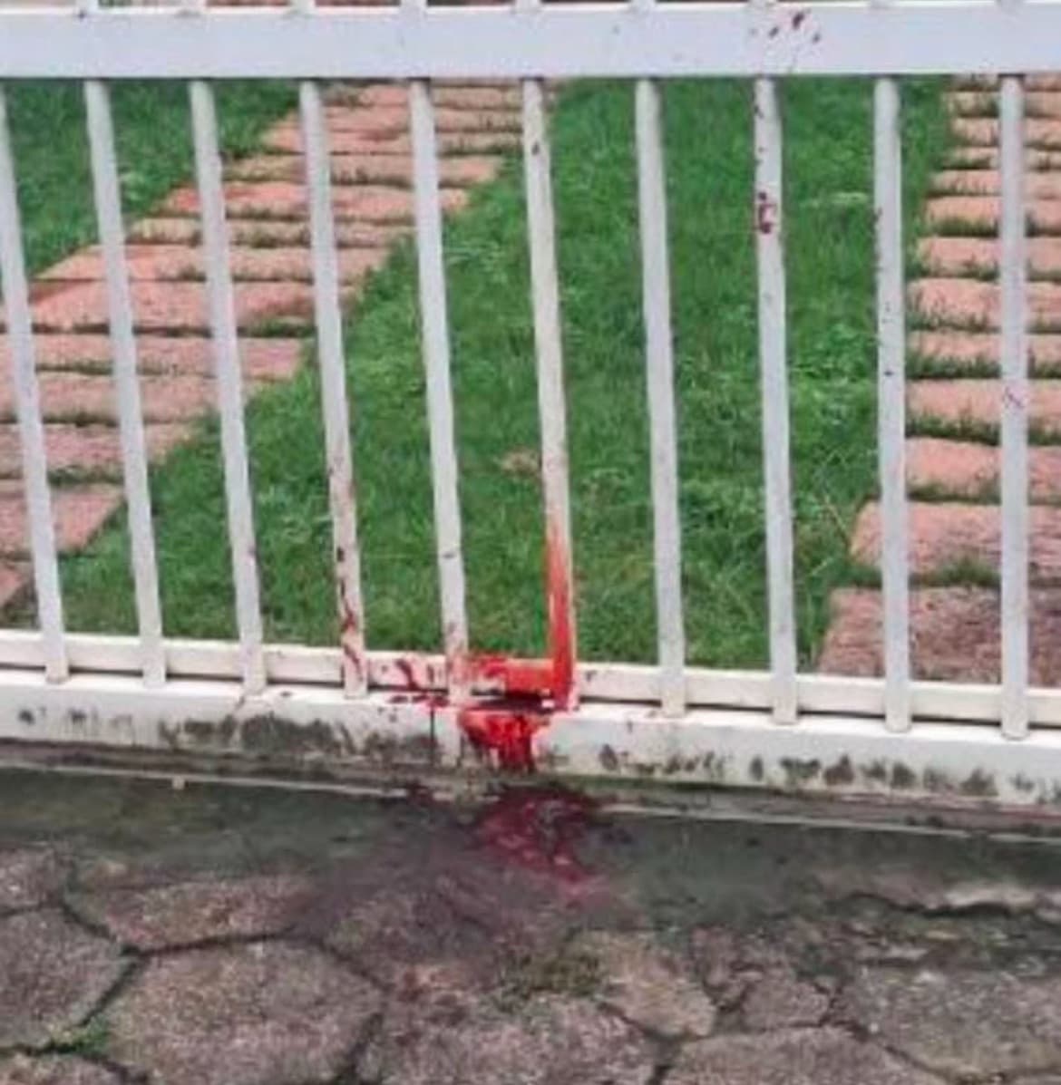 Pitbulls invadem casa e atacam cachorro em Rio do Sul