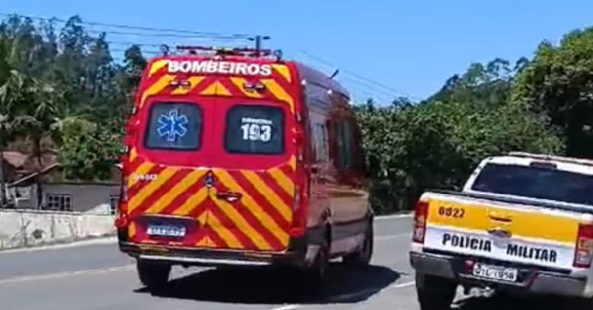Cavalos morrem carbonizados em incêndio em Major Gercino