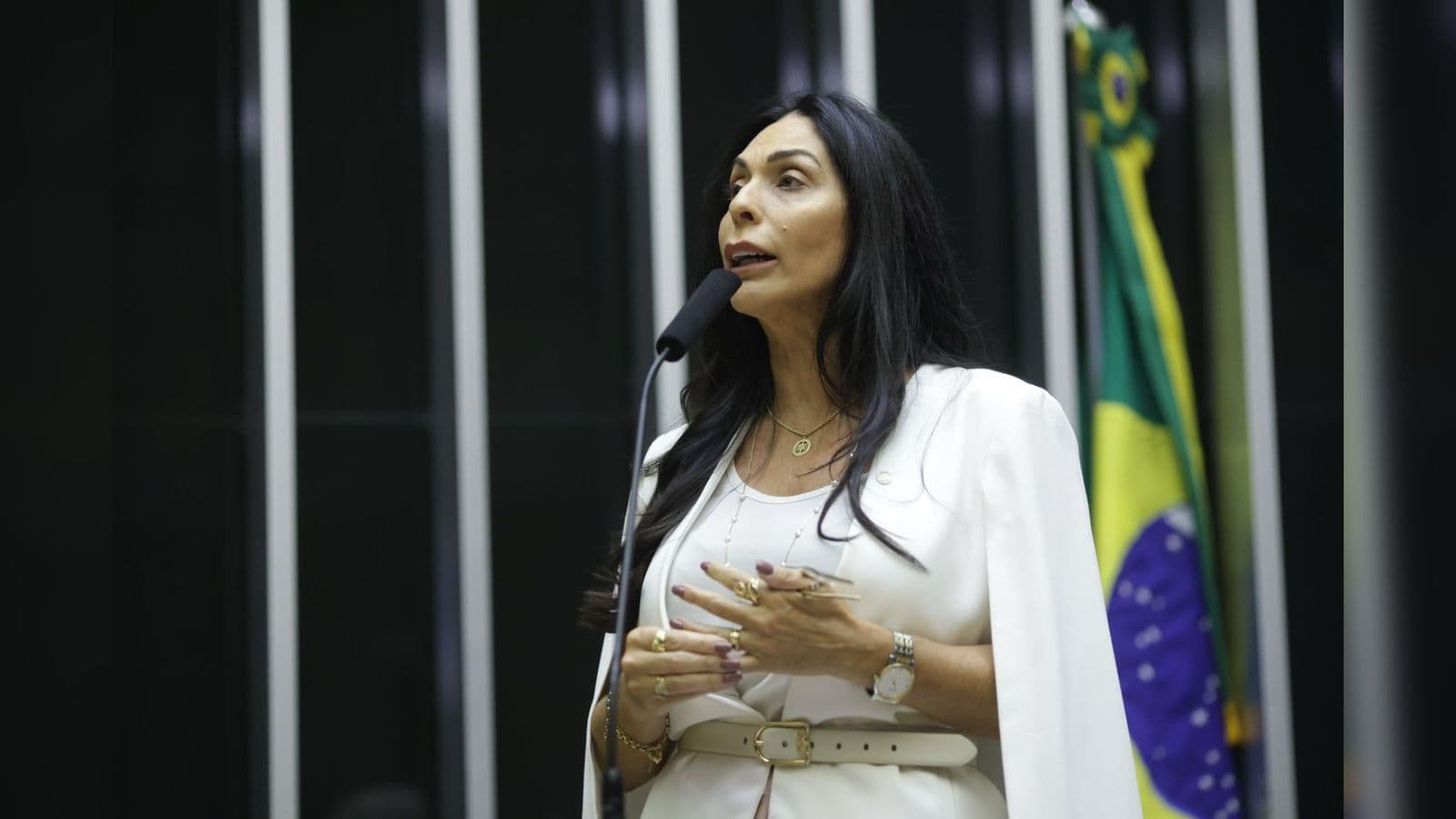Deputada Geovania de Sá apresenta projeto para redefinir APA da Baleia Franca e evitar demolições e cortes de energia e água