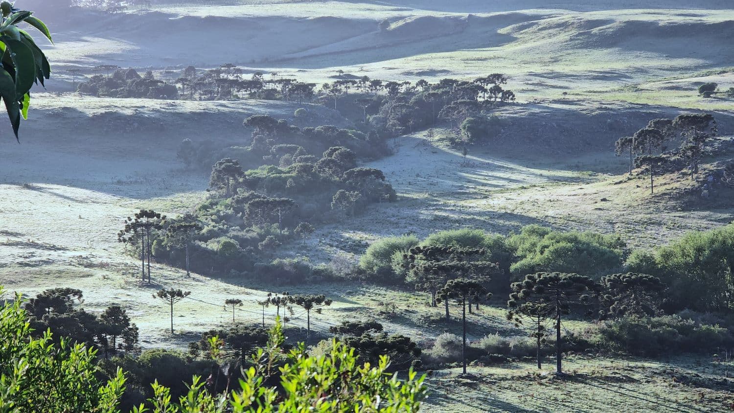 Nevasca histórica pode atingir SC e RS nesta semana, aponta modelo europeu de meteorologia