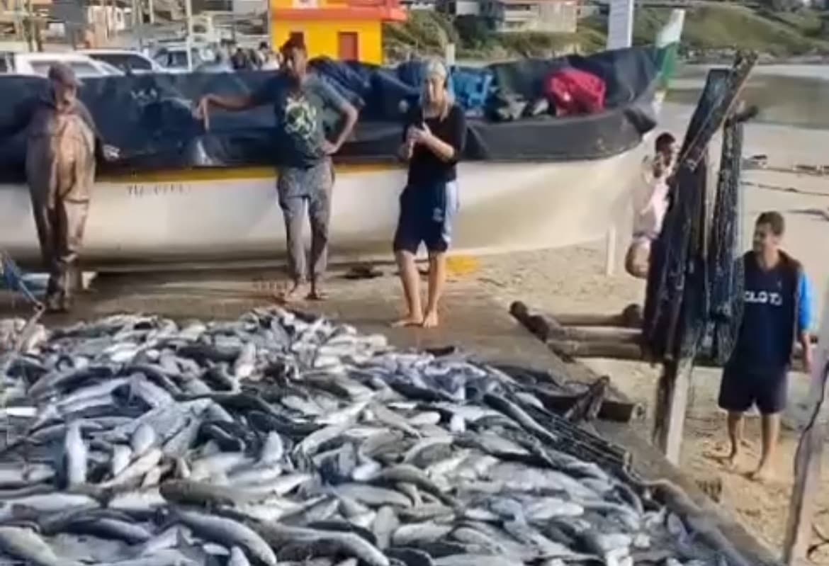 Friozinho, tainha e alegria no mar de Santa Catarina