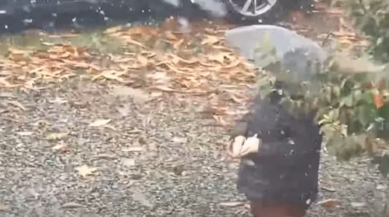 AGORA: Neve cai em São Joaquim; VEJA AO VIVO!