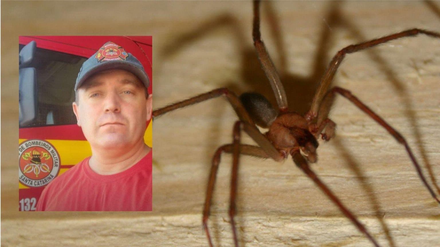 “Ele só queria limpar o quintal”: Bombeiro de Itapema morre após infecção causada por picada de aranha