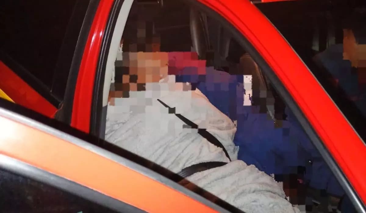 “Saí só pra colher pinhão”: homem é achado paralisado após gritar por socorro em SC