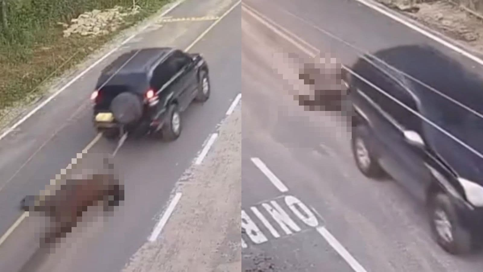 Mistério em SC: carro é flagrado por câmeras arrastando cavalo morto pelas ruas