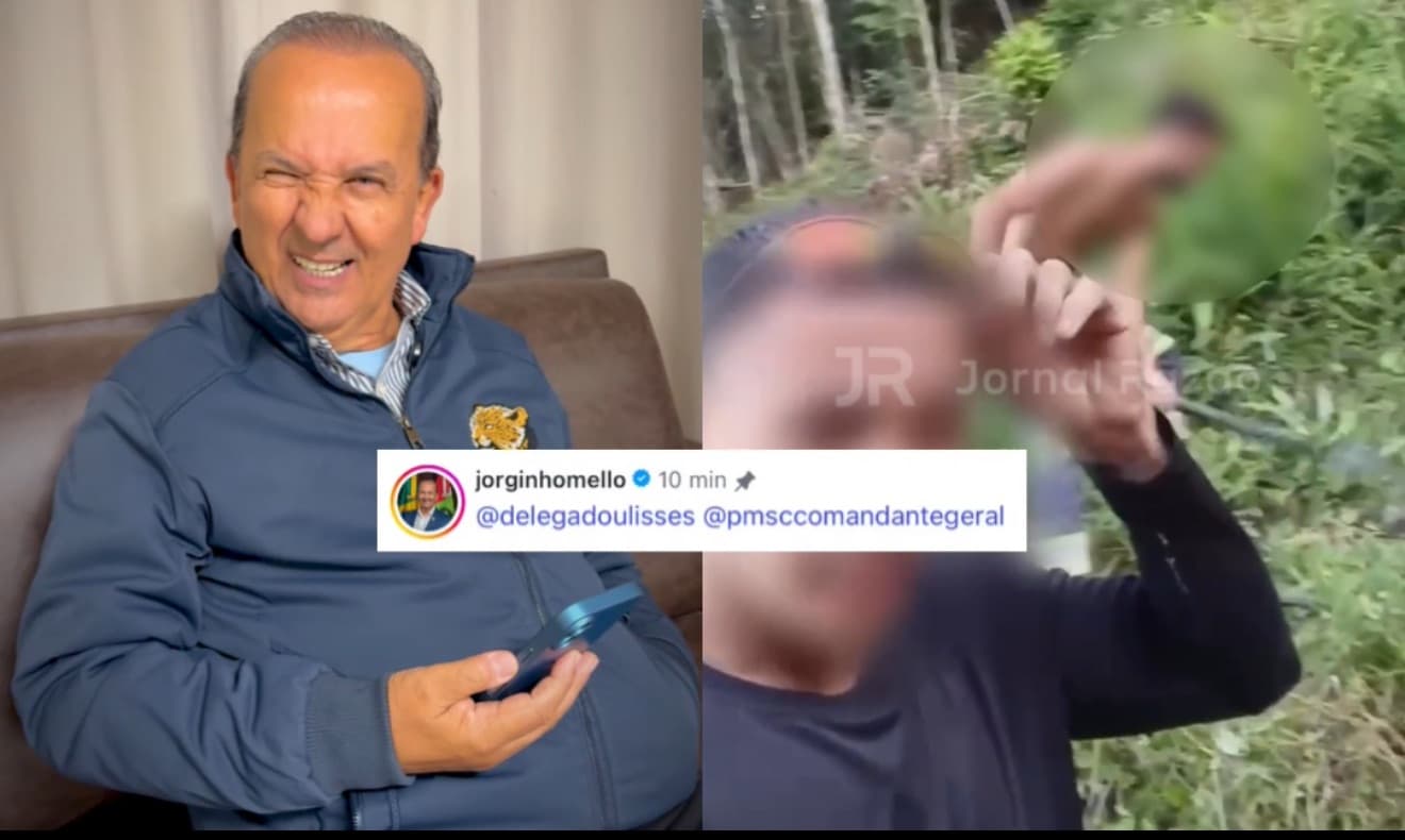 “Vamos fazer o bambu roncar”: após denúncia do JR, governador de SC determina ação contra “invasores”
