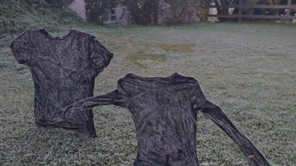 Manhã gelada deixa os campos branquinhos e camisetas congeladas na Serra