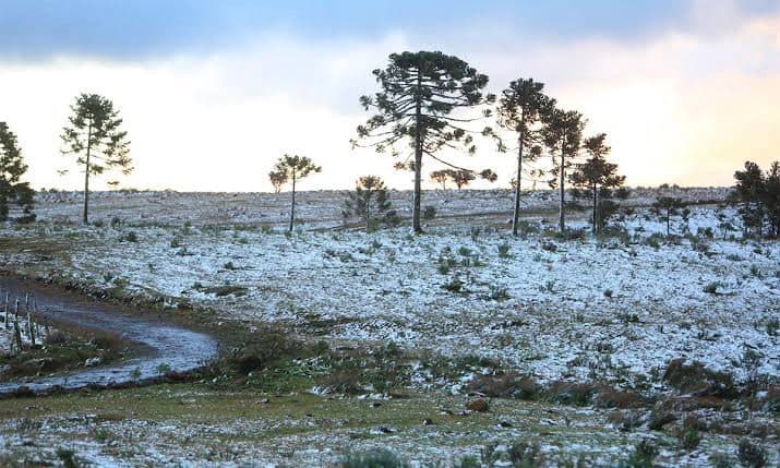 VAI NEVAR EM SC? Entenda a previsão que promete dias congelantes e até fenômeno raro no estado