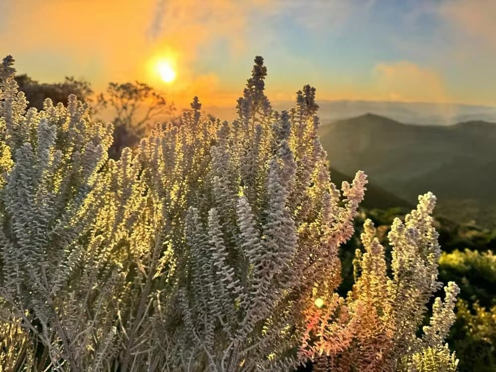 Recorde de frio! Santa Catarina tem madrugada mais gelada do ano, com termômetro marcando -8,06ºC