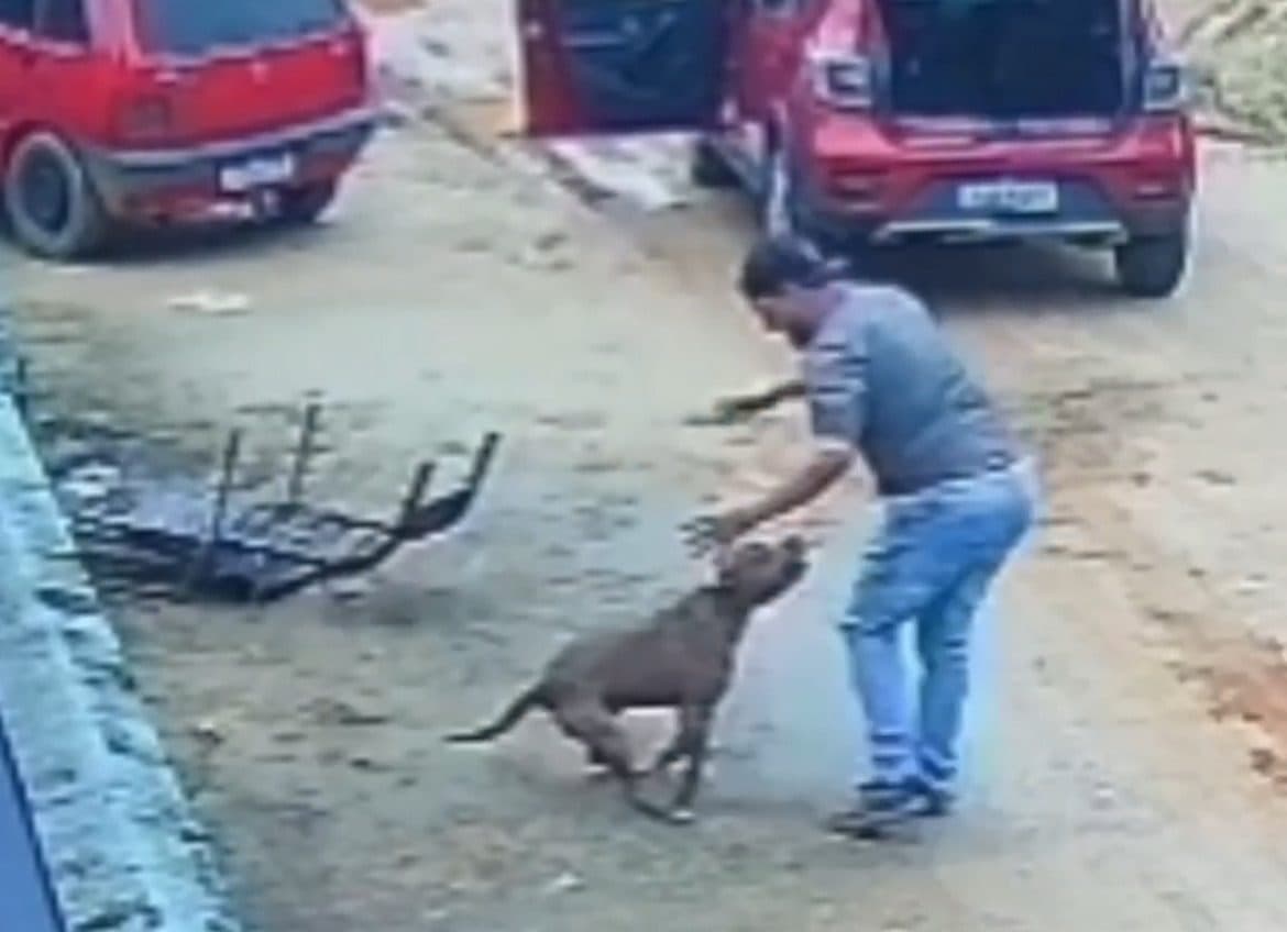 VÍDEO – Pitbull foge e homem luta para sobreviver a ataque de fúria em São João Batista