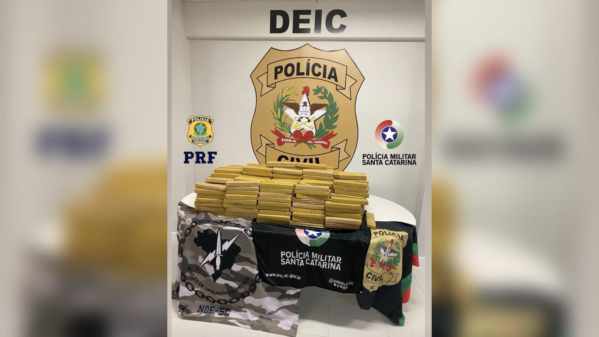 Fim da farra: Polícia encontra 209 kg de maconha escondidos em propriedade rural