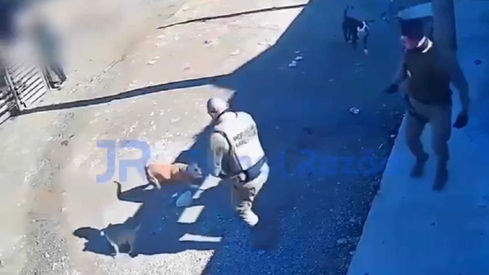 VÍDEO: Policial reage e atira após PM”s serem cercados por pitbulls em Itapema