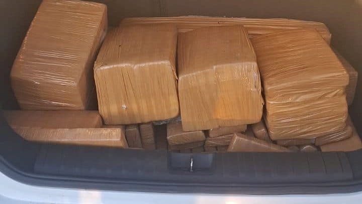 Mulher é presa com 210 quilos de maconha na BR-101 em Joinville