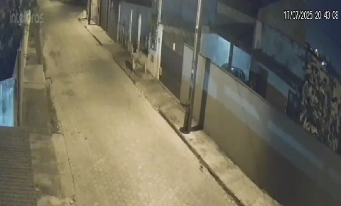 Cãozinho corre atrás de mulher que o abandona em rua de Joinville
