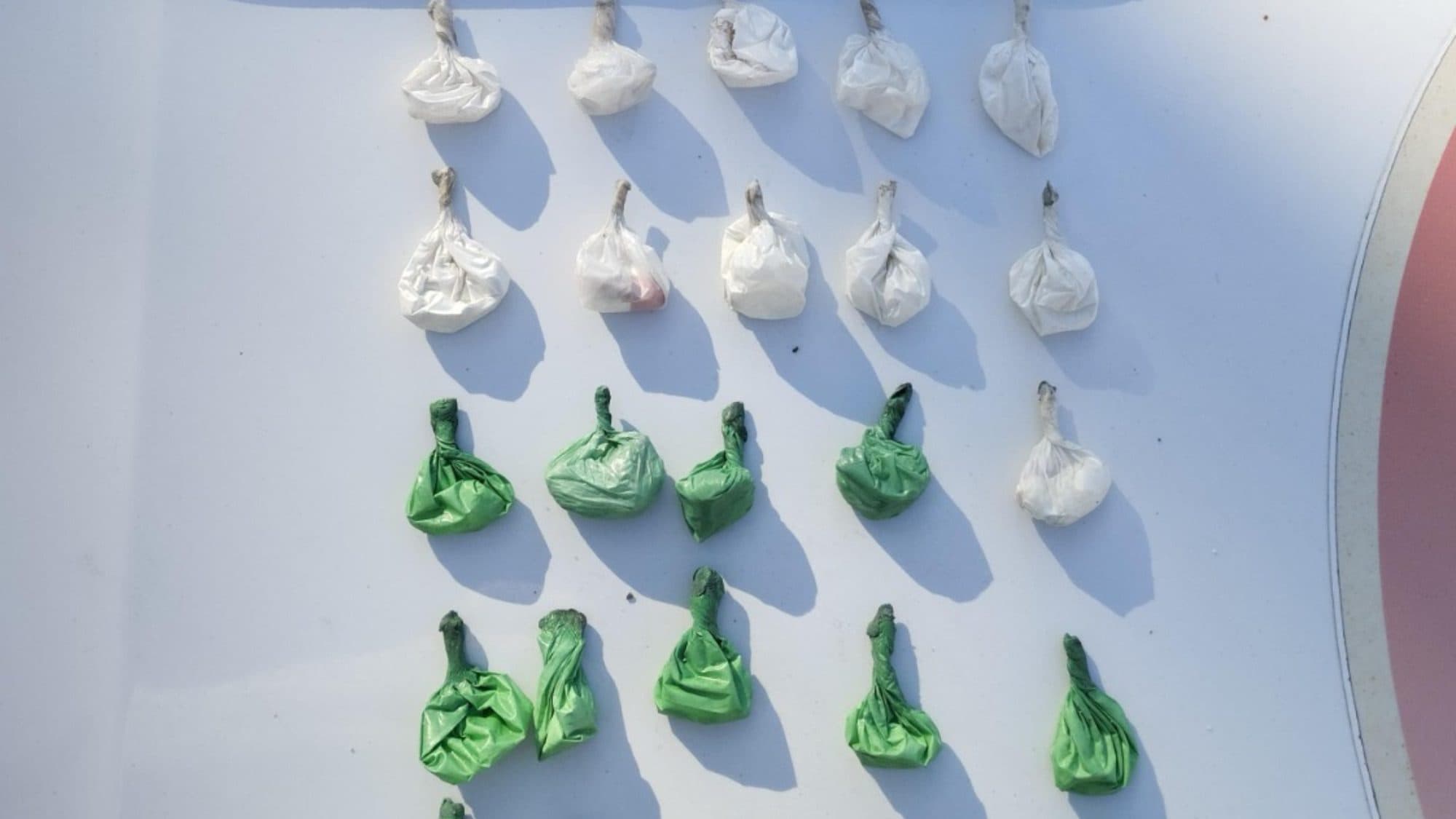Preso com cocaína escondida no casaco: homem é flagrado pela PM em Nova Trento
