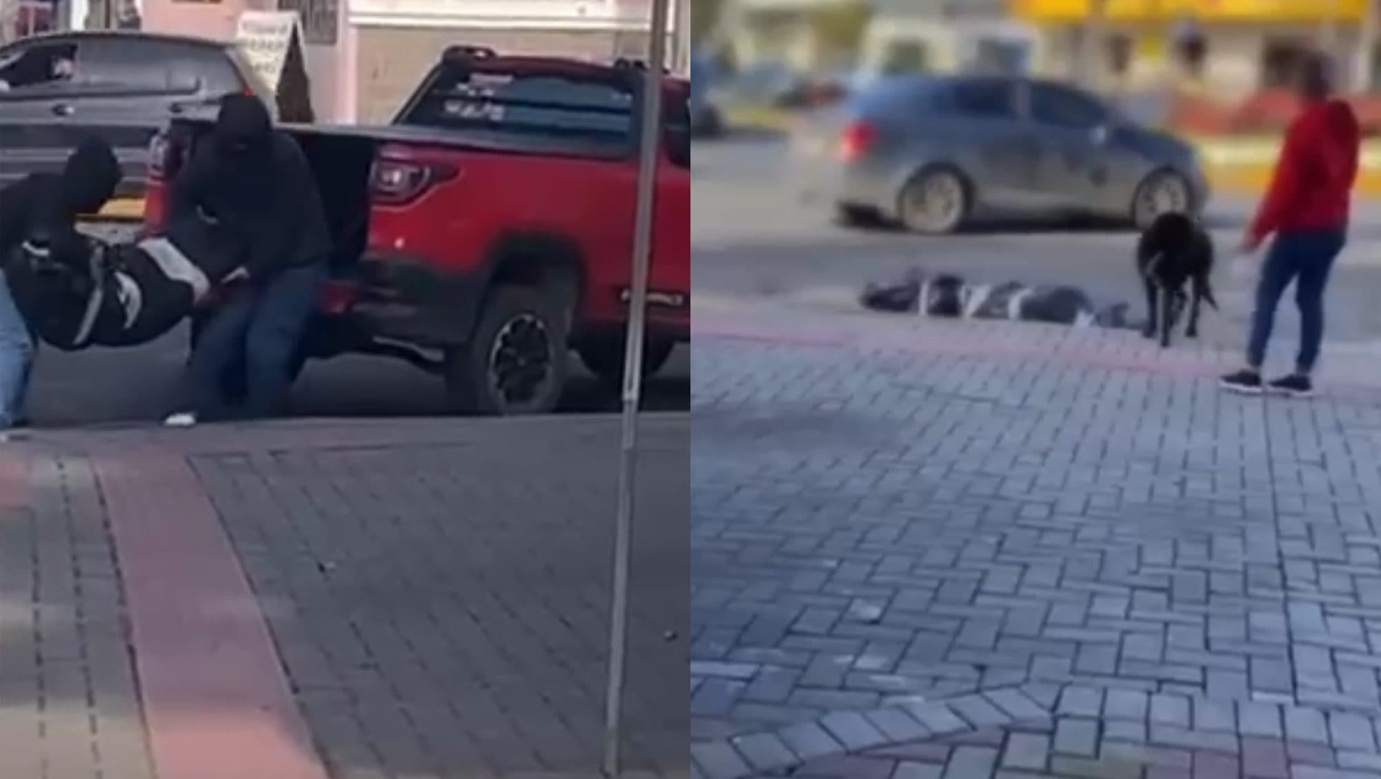 Jovem fingiu desovar corpo “no meio da rua” em SC pra ganhar seguidores, diz delegado