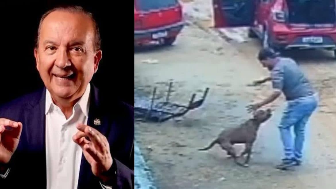 Governador de SC decreta regras e ameaça tirar pit bulls de tutores irresponsáveis