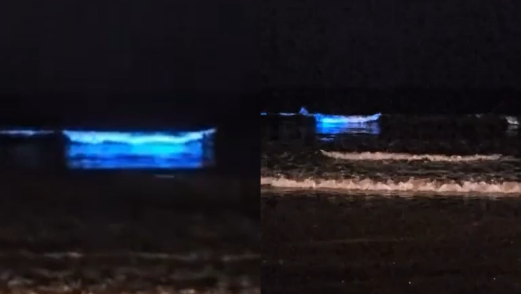 Fenômeno raro deixa ondas da praia em Porto Belo com brilho fluorescente