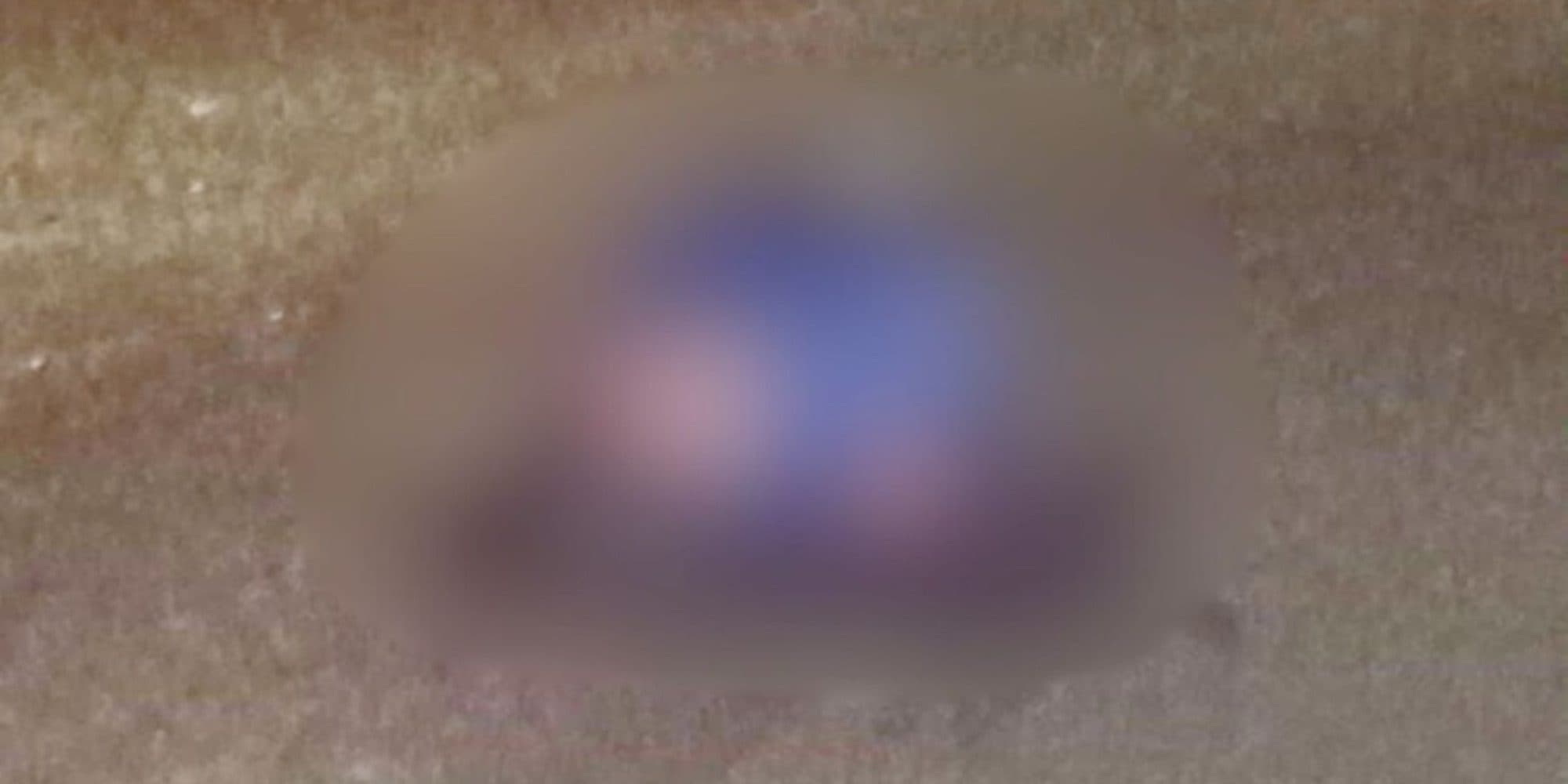 Homem é atropelado e tem corpo lançado sobre banco do carona em rodovia de SC