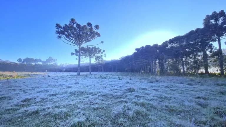 Previsão alerta para temperaturas abaixo de 0°C em SC
